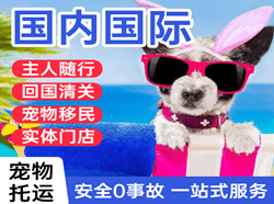 长海空运地址国际宠物托运 【国